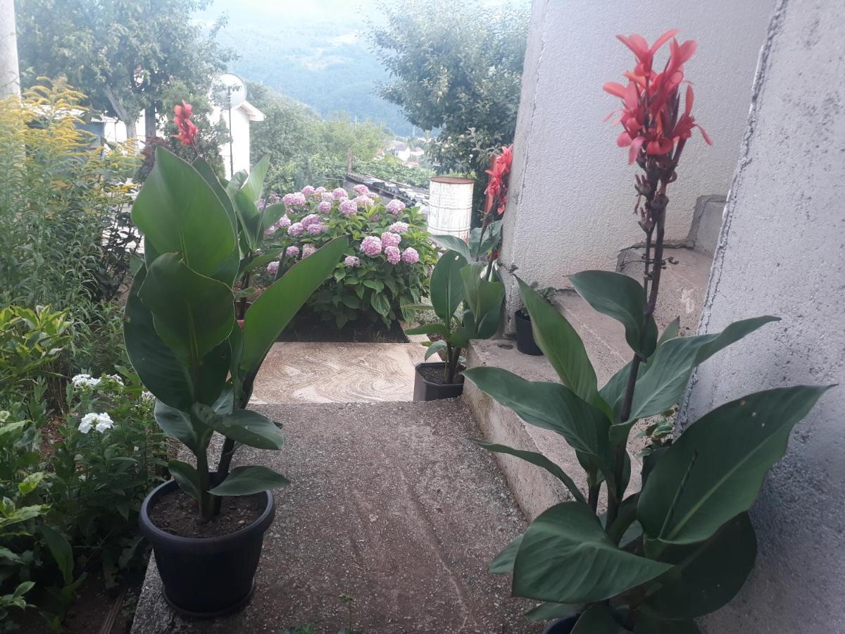Smestaj Rakovic Pribojska Banja Экстерьер фото