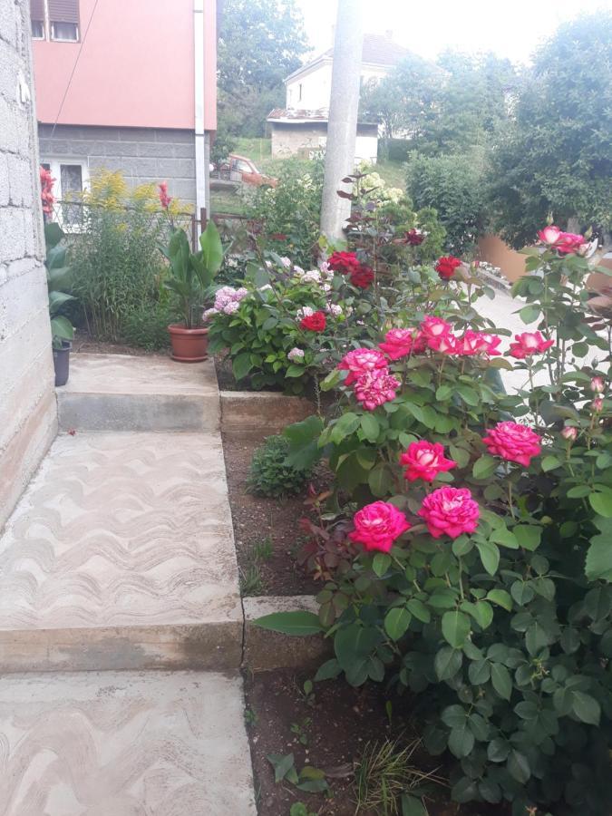 Smestaj Rakovic Pribojska Banja Экстерьер фото