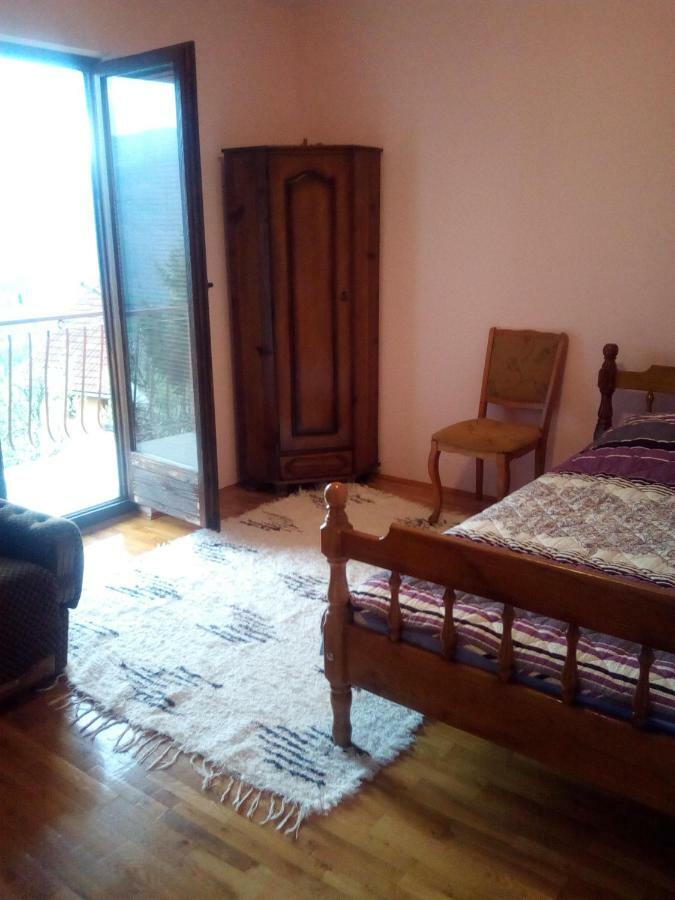 Smestaj Rakovic Pribojska Banja Экстерьер фото